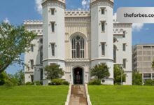 Top 10 Things to Do in Baton Rouge Explore the Capital City’s Vibrant Attractions