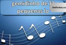 Gemidinho de 72 Pequenas Lo An Exploration into Brazilian Musical Artistry