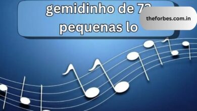 Gemidinho de 72 Pequenas Lo An Exploration into Brazilian Musical Artistry