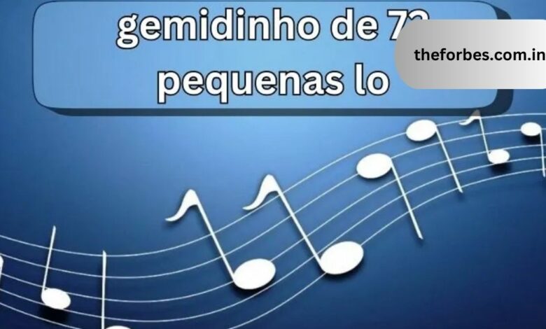 Gemidinho de 72 Pequenas Lo An Exploration into Brazilian Musical Artistry